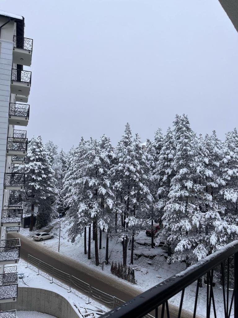 Four Seasons Apartment
